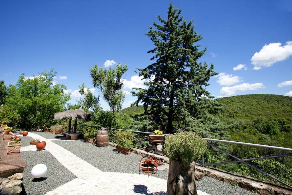 Villa Giulia A "Casa Conti Di Sotto" Gavorrano Kültér fotó