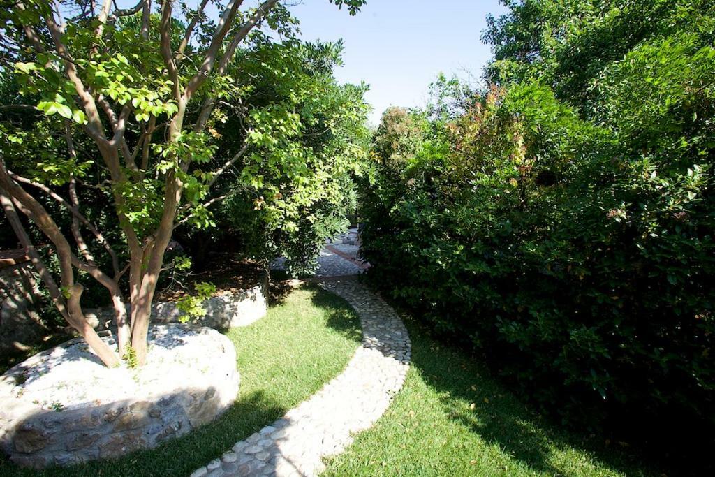 Villa Giulia A "Casa Conti Di Sotto" Gavorrano Kültér fotó